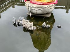 -安平桥