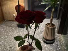 -南堂馆·新川菜(天府三街店)