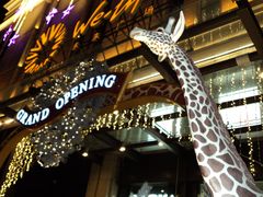 门面-远洋未来广场(育慧北路店)