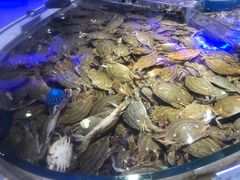 -澜悦港海鲜体验主题餐厅