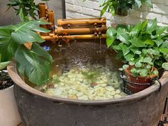 -813芭依珊 BAESAn(皇冠十畝地店)