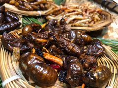 -昆虫窝子·特色云南菜(拓东路总店)