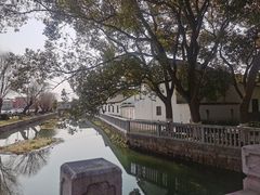 -金泽古镇