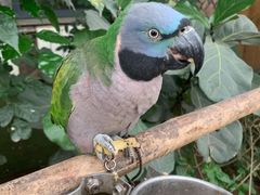 -南宫五洲植物乐园