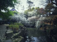 -北寺塔