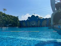 -苏州乐园森林水世界