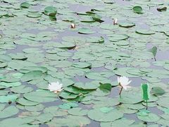 -滆湖低碳生态公园