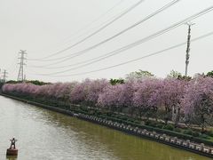 -南丰汇(新港东路店)