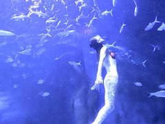 -多彩贵州城极地海洋世界