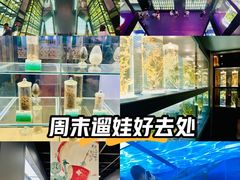 -广东中医药博物馆
