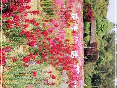 -保利石象湖景区
