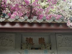 -深圳国际园林花卉博览园