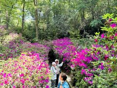 -南山风景名胜区