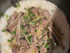 -大鸽饭(马王堆店)