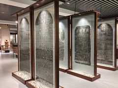 -北京中医药大学-中医药博物馆