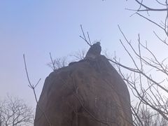 -北京凤凰岭