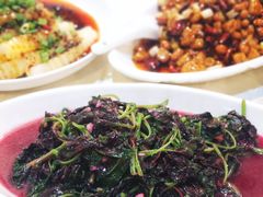 -蒲氏烤鸭(百寿路店)