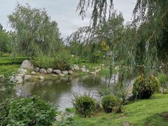 -羊亭河湿地公园