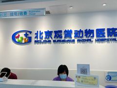 -北京观赏动物医院·24小时大型综合·猫专科·异宠专科