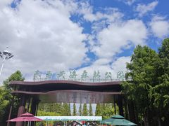 -黄海国家森林公园