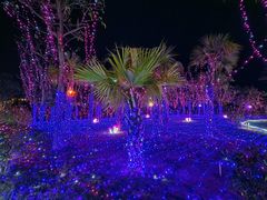 -珠海海泉湾神秘岛亲子乐园