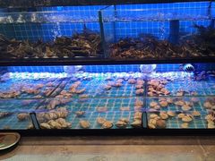 -透明思烤·自助烤肉海鲜火锅(东部星悦天地店)