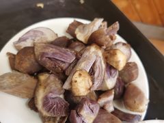 -东巴谷野生菌火锅餐厅