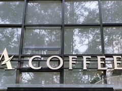 -桉树林A coffee 森林餐厅(三圣乡店)