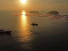 -花竹村