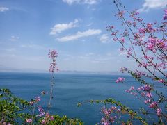 -抚仙湖禄充风景区