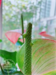 -变画·发型STUDIO