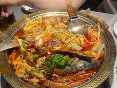 -肥家大排档(天河体育西店)