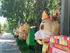 -南宫五洲植物乐园