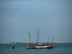 -贡湖湾湿地公园
