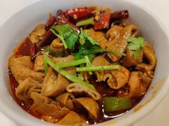 沙窝老广啫肥肠-金鼎轩(亚运村店)