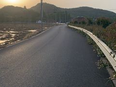 -上海佘山国家森林公园天马山园