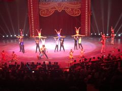 -珠海横琴长隆《卡卡虎奇遇记》