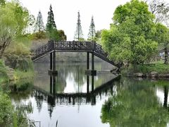 -尚湖风景区