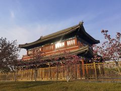 -西海子公园