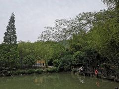 -宝岩生态观光园