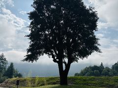 -腾冲云峰山