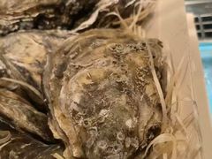 -西村日本料理(香格里拉饭店)