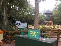 -大象剧场