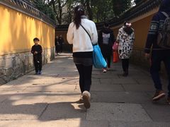 -普陀山风景名胜区-法雨禅寺