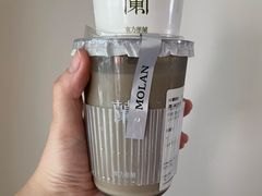 -东方墨兰(水游城店)