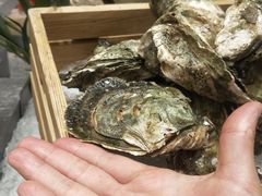 -索菲特酒店 · 云尚天际自助餐厅