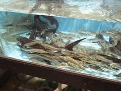 -鼓歌海鲜舫·手抓海鲜(大学城店)
