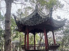 -秋霞圃