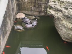 -南京市江宁方山