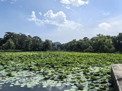-承德避暑山庄景区